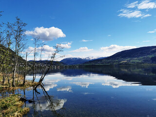 西咸新区管委会地址